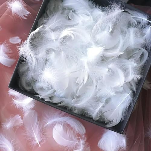 100 Stück Federn weiße Gänse Federn Handwerk Schmuck Party Plume Dekor DIY Geschenkbox Füllmaterial