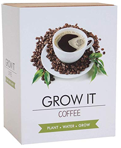 Gift Republic GR200033 Coffee Grow It, 19.5 cm*3.5 cm*12.5 cm