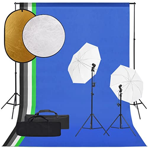 vidaXL Fotostudio-Set mit Beleuchtung, Hintergrund und Reflektor, Studio-Kit, Tageslicht-Lampe, Studio-Beleuchtung-Set, Studio-Licht, Fotografie-Licht