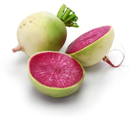 Sachet de graines potagères de radis red meat- Les Graines Bocquet