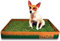 Kit S cane PetZolla - Lettiera per cani in Vera Erba con Vassoio Riutilizzabile 60x40 cm, Traversine cane 100% naturali e atossiche, lettiera cani in vero prato dura fino a 4 Settimane
