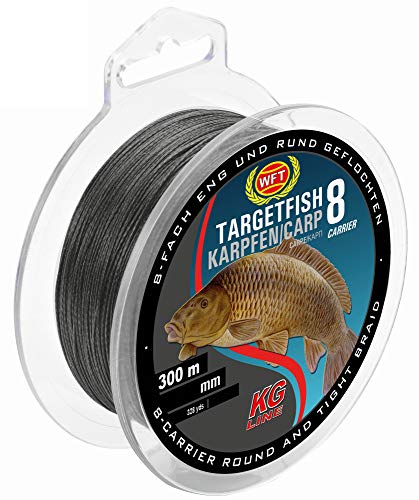 WFT TF8 Karpfen Black 0,22mm 300m 20Kg - Karpfenschnur zum Karpfenangeln, geflochtene Schnur zum Angeln, Geflechtschnur