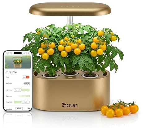 Nouri Application de jardin intelligent à 5 capsules pour cuisiniers à domicile | avec salade ancienne | Système de culture hydroponique | Lampes de culture LED | Kit de jardinage d'herbes aromatiques