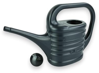 Nordiq - Regadera para Plantas de 2L para Interior y Exterior, Difusor Efecto Lluvia para Riego de Flores de Jardín, Plástico con Sello Antigoteo, Asa de Transporte (Gris)
