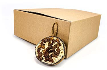 Chubby Coconut Halves Topped with Raisins, Bird Feeder Coconut Shells, for Wild Birds - Suet for Blackbirds, Woodpeckers, Starlings & Sparrows (6 Pack)