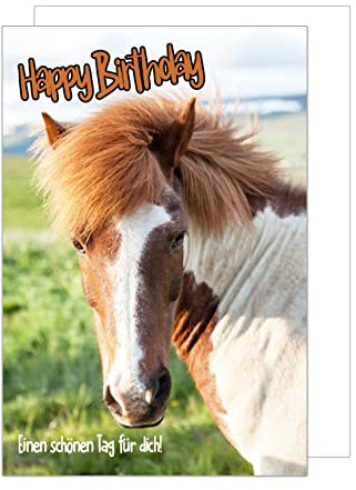 Edition Seidel Premium Geburtstagskarte mit Umschlag. Glückwunschkarte Grusskarte Billet Karte Geburtstag Happy Birthday Mann Frau Kind Junge Mädchen Sprüche Pferd Pony (G3306 SW022)