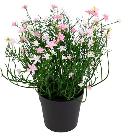 Seidenblumen Roß Sternblütenbusch Natural Look 24cm rosa-Hellrosa im Topf FT Kunstblumen künstliche Blumen Pflanzen Sternblüte