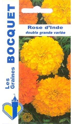 Sachet de graines de Rose d'Inde double grande variée - 1,5 g - fleur annuelle - LES GRAINES BOCQUET