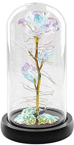 Yolispa Artificial Flower Rose Gift Light Up Eternal Rose in A Glass Dome Flower Gift for Her Valentines