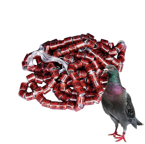 Bridas para Palomas - Anillos Identificativos para Pata de Pájaros, 50 Piezas | Anillos de Reconocimiento para Cría, para Palomas y Aves, Suministros para Patas de Pájaros 2025