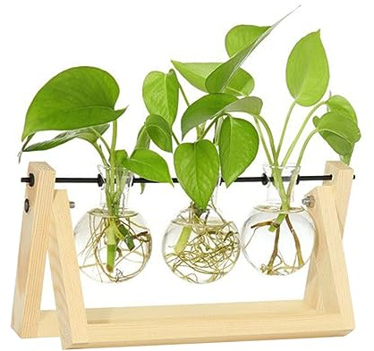 GRIRIW Glasvase mit Holzständer für Hydrokulturpflanzen 3-flammige Retro Blumenvase mit Drehfunktion Durchlässigkeit als Tischdeko für Hochzeit und Büro