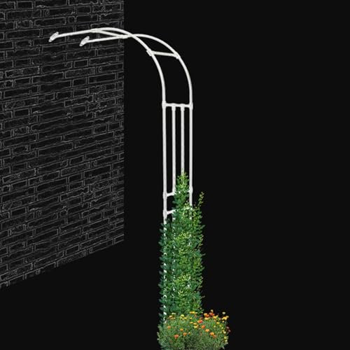 YHDZWY Metall Torbogen Halbbogen Langlebiger Gartenbogen Rosenbogen Wetterfest Garten Terrasse Spalier Kletterpflanze Rankhilfe Rankgitter(Weiß,W 60cm X H240cm)