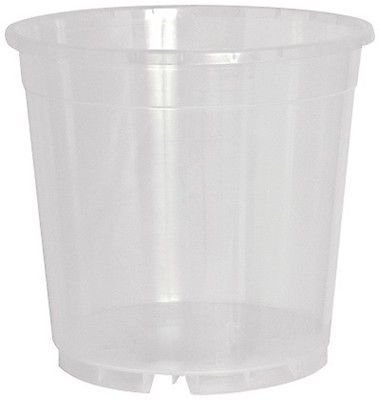 Blooming Weather Standard Clear Orchid Pot - 19cm - Pack of 5