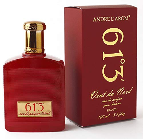 VENT DU NORD Parfüm für herren | für Männer | 8-12 stunden langanhaltend | Frankreich | für mann | 100 ml (61°3' [Frisch & Fougere])