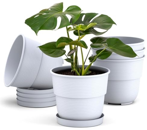 Plastard Blumentöpfe 5er Set 32 cm Durchmesser mit Untersetzer aus Kunststoff Weiß runder Pflanzkübel witterungsbeständiger Übertopf große Blumentöpfe