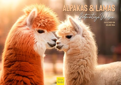 Edition Seidel Calendario premium de alpacas y llamas 2026, formato DIN A3, calendario de pared, calendario de animales, América del Sur, Perú, Andes, Lama alpaca, pako, camellos, animales de carga
