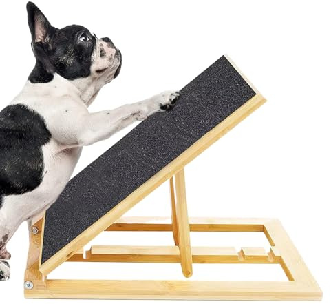 Kratzbrett für Hunde | Faltbare Kratzmatte für Haustiere | Für Haustiere drinnen draußen Reisen Zuhause Krallenpflege ältere Welpen