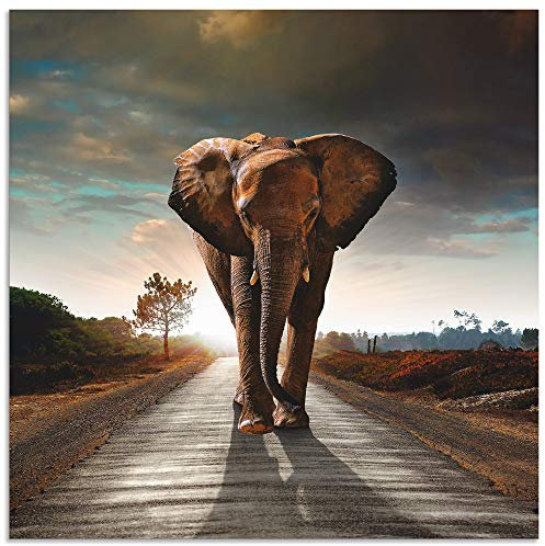 ARTland Wanddeko Wandbild Alu für Innen & Outdoor Metall Bild 100x100 cm Tiere Wildtiere Elefant Fotografie Braun Ein Elefant läuft auf der Straße T9QO