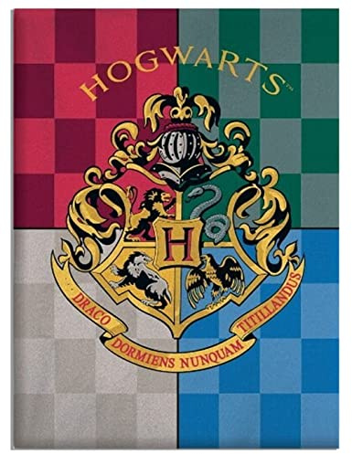 Harry Potter Hogwarts Logo Fleecedecke 100 x 140 cm