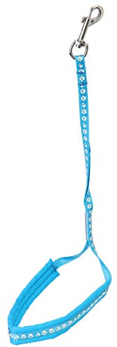 Groom Professional Allon Basic Schlinge mit Polsterung Pfotenabdruck, 45 cm, Cyanblau