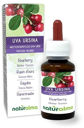 Gayuba o Uva ursi (Arctostaphylos uva ursi) hojas Tintura Madre sin alcohol Naturalma - Extracto líquido gotas 60 ml - Complemento alimenticio - Vegano