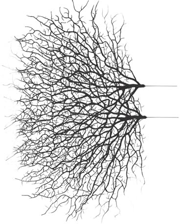 TOPPERFUN Ramas Artificiales De Coral 2 Unidades Tamaño Mediano Plástico Negro Decoración Realista Sin Mantenimiento para Manualidades y Relleno De Jarrones