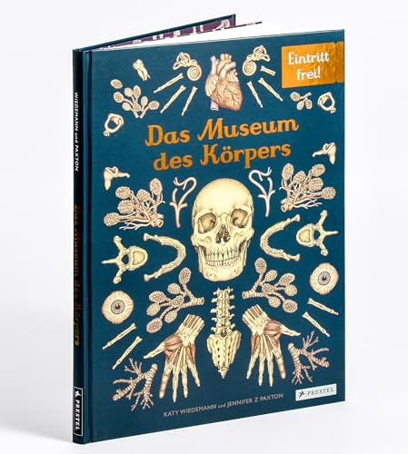 Das Museum des Körpers: Eintritt frei! - Sachbilderbuch im Großformat für Kinder ab 8 Jahren mit prächtigen Anatomie-Illustrationen von Katy Wiedemann (Eintritt frei! Komm mit ins Museum, Band 14)