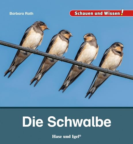 Die Schwalbe: Schauen und Wissen!