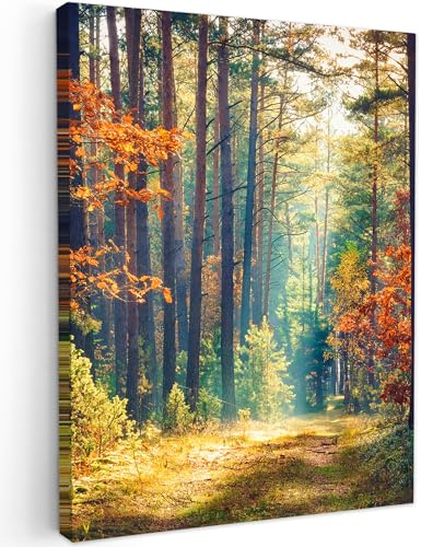 MuchoWow© Leinwand Bilder Wanddeko Wohnzimmer Aesthetic Room Decor Deko | 30x40 cm - Zimmer Wandbilder Modern Fotogeschenke Wald - Sonne - Natur - Herbst