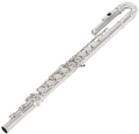 Querflöte Instrument Gebogene Flöte Mit 16 Löchern C-Klappe Doppelkopf Vernickeltes Kupfer Anfänger- Und Profi-Flöte