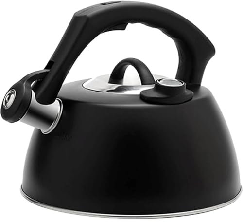 Chic Bouilloire sifflante de 2,5 l avec thermomètre, théière en acier inoxydable avec poignée ergonomique, bouilloire pour cuisinière noire Cafetières