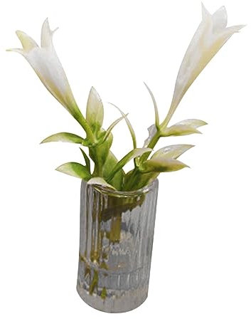 KONTONTY Vaso Di Giglio in Miniatura Ornamento Paesaggistico in Miniatura Per Casa Delle Bambole Durevole E Realistico Per Mini Case E Decorazioni Di Micro Paesaggi