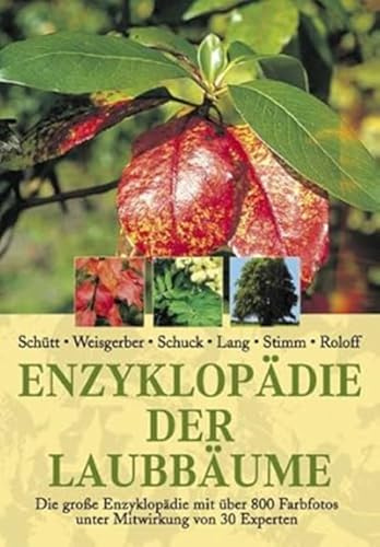 Enzyklopädie der Laubbäume: Die große Enzyklopädie