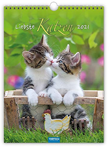 Classickalender Liebste Katzen 2021: 24 x 33 cm