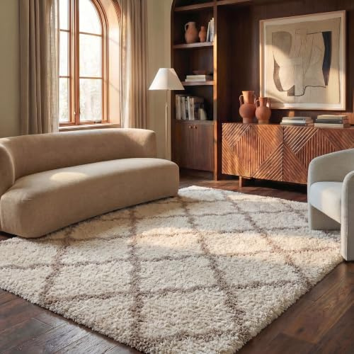 SAFAVIEH Dallas Shag Collection Area Rug - 6' x 9', Ivory & Beige, Trellis Design, Non-Shedding & Easy Care, 1.5-inch Thick Ideal for High Traffic Areas in Living Room, Bedroom (SGD257B)