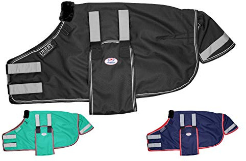 Derby Originals Reflective Safety No Hardware Winter Turnout Blanket for Foals & Mini Horses – 1200D Waterproof Ripstop, 150g Insulation, Triple Layer Breathable 210T Lining, 2 Year Warranty