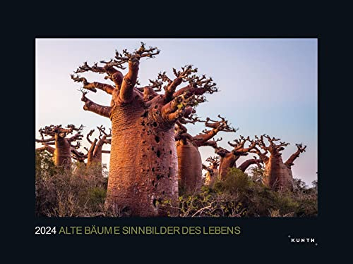 Alte Bäume, Sinnbilder des Lebens - KUNTH Wandkalender 2024: Hochwertiger, bildstarker Kalender mit Spiralbindung im Großformat (KUNTH Wandkalender Black Edition 60 x 45 cm)