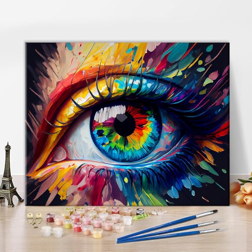 TISHIRON Paint by Numbers Human Eye Canvas Paint by Number for Adults Colorful Painting Paint by Number Kids Paint by Number Kits on Canvas Paint by Numbers for Beginner 16x20 in