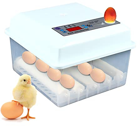 Brutautomat Vollautomatische, Brutmaschine 60W Inkubator Hühner, 16 Eier Mini Automatic Incubatores with Turner, mit Temperaturkontrolle, für Turkey Goose Quail Chicken Eggs