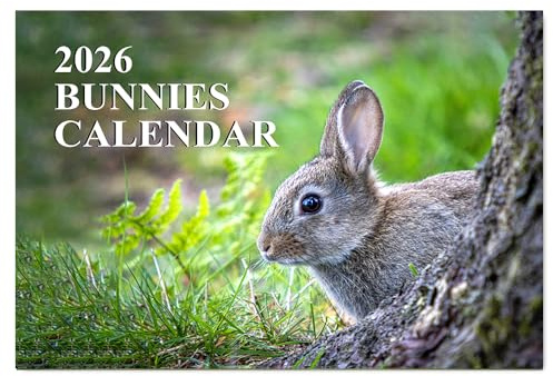 A4 Bunny Calendars 2026 12 Month to View Wall Calendar A3 When Open Rabbit Calendar 2026 Papa Prints