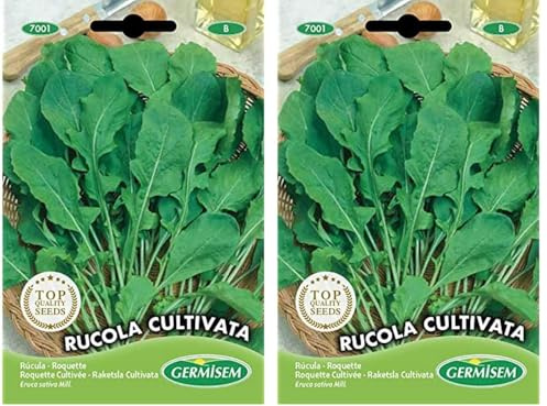 Germisem Rucola Cultivata Semillas de Rúcula 8 g (EC7001) (Paquete de 2)