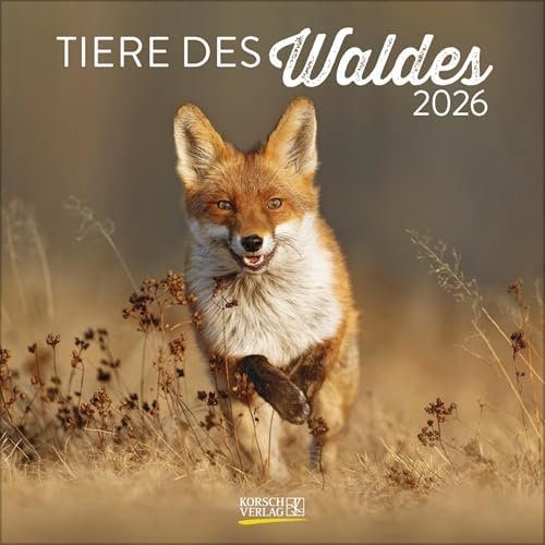 Tiere des Waldes 2026: Broschürenkalender mit Ferienterminen. Format: 30 x 30 cm