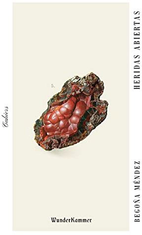 Heridas abiertas: 5 (Cahiers)