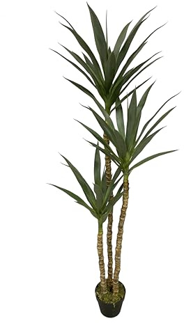 Tradala 5ft 5 Inch 170cm Tall Large Lush Green Artificial Yukka Tree | Indoor Home House Décor | For Living Room Bedroom Home Office