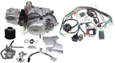 125cc 4-Takt-Motor, Einzylinder Pocket Bike Motoren, Dirtbike Motor 3 Gänge + 1 Rückwärtsgang mit Luftgekühlt CDI Zündung Elektrischer Start…