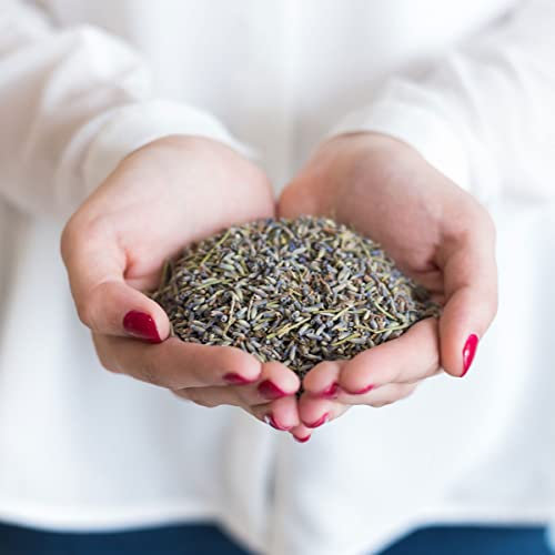 Semillas de Lavanda Aromática con Flor Planta Fácil de Cultivar en el Hogar