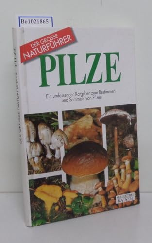 Pilze: Ein umfassender Ratgeber zum Bestimmen und Sammeln von Pilzen