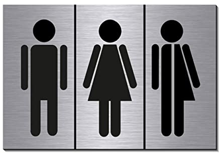Männlich-Weiblich-Divers-Toilette-Dritte Geschlecht-Toilettenschild-150 x 100 x 3 mm-Schild-Designschild-Aluminium-Edelstahloptik-Hinweisschild (1905-108 mit Klebepads)