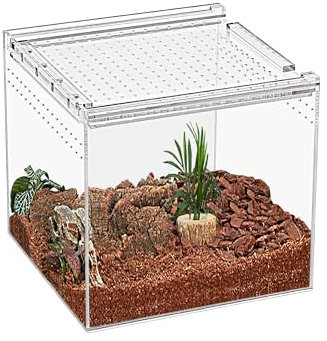 KAKOOTI Reptile Terrarium,17 x 17 x 15 cm Reptile Zuchtbox, magnetisches Acrylgehäuse, für Tarantula, Einsiedlerkrabbe, springende Spinne, Iguane, Leopard Gecko, Bartdrache, Insekt, Mantis, Skorpione