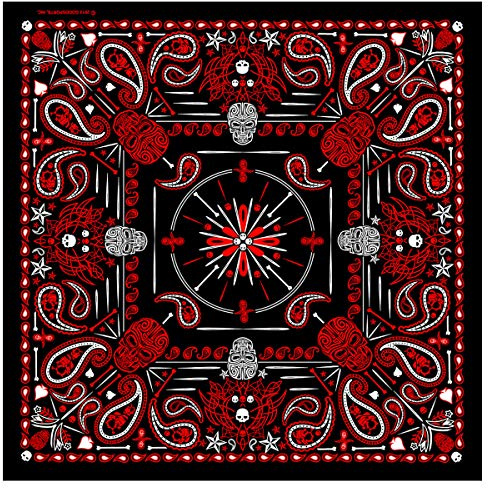 Hot Leathers Paisley Skulls Bandana (Black/Red, 21 x 21)